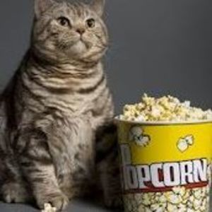 Meet your Posher, Anton